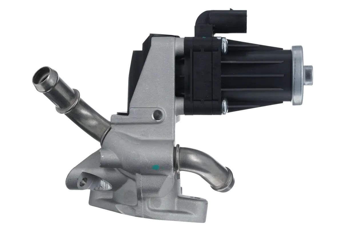 EGR Valve 703219
