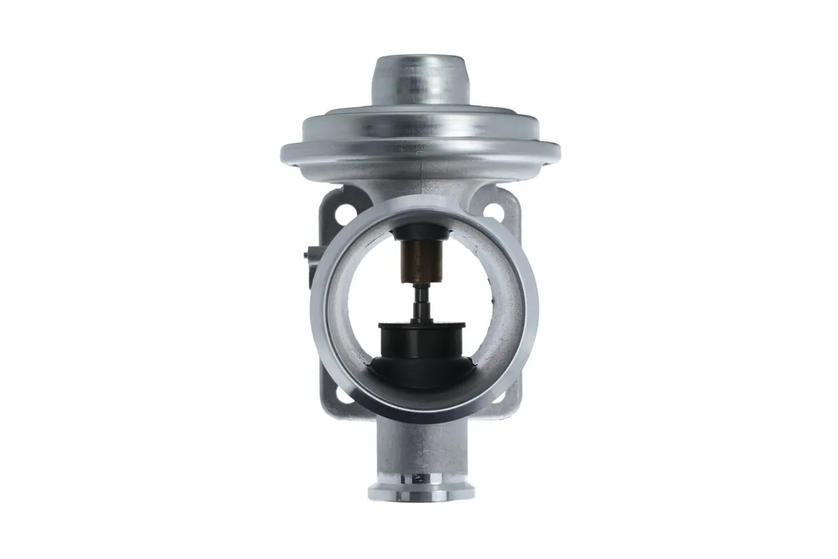 EGR Valve 703239