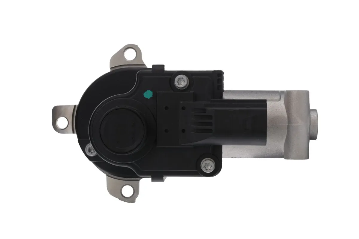 EGR Valve 703276