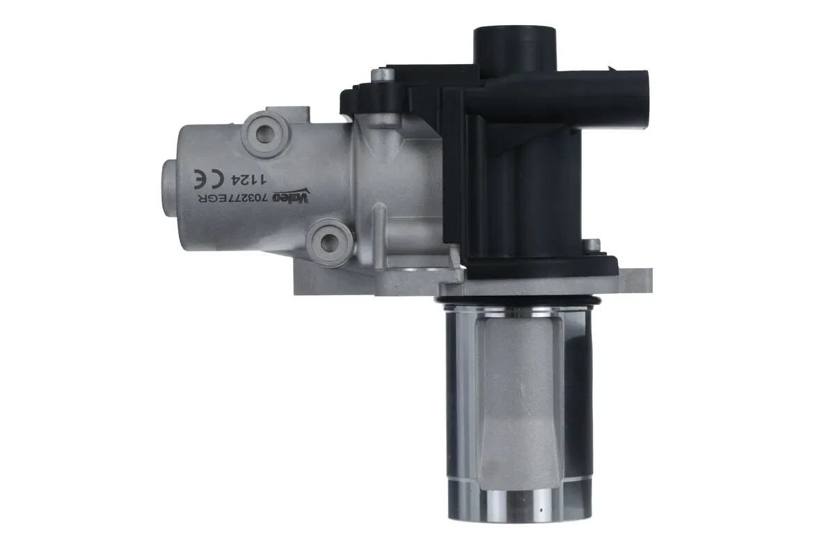 EGR Valve 703277