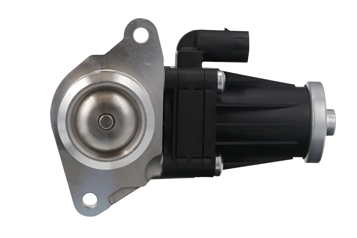 EGR Valve 703209