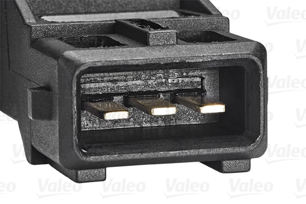 Sensor, camshaft position 253836