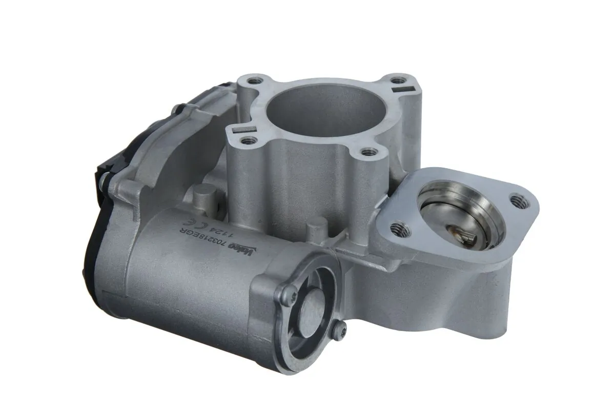 EGR Valve 703218