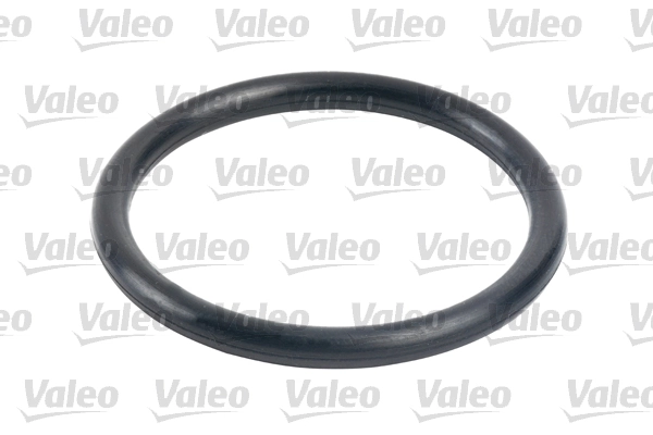 VALEO 587716 Fuel Filter
