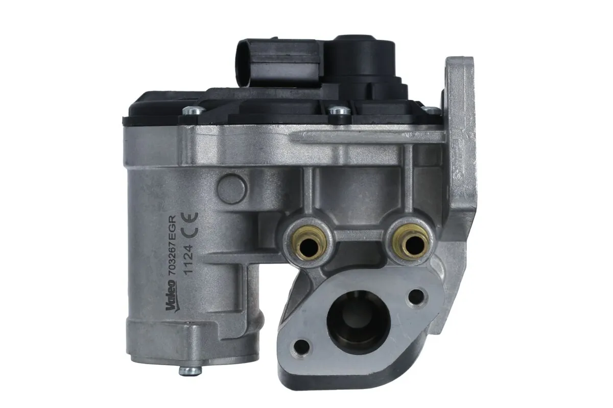 EGR Valve 703267