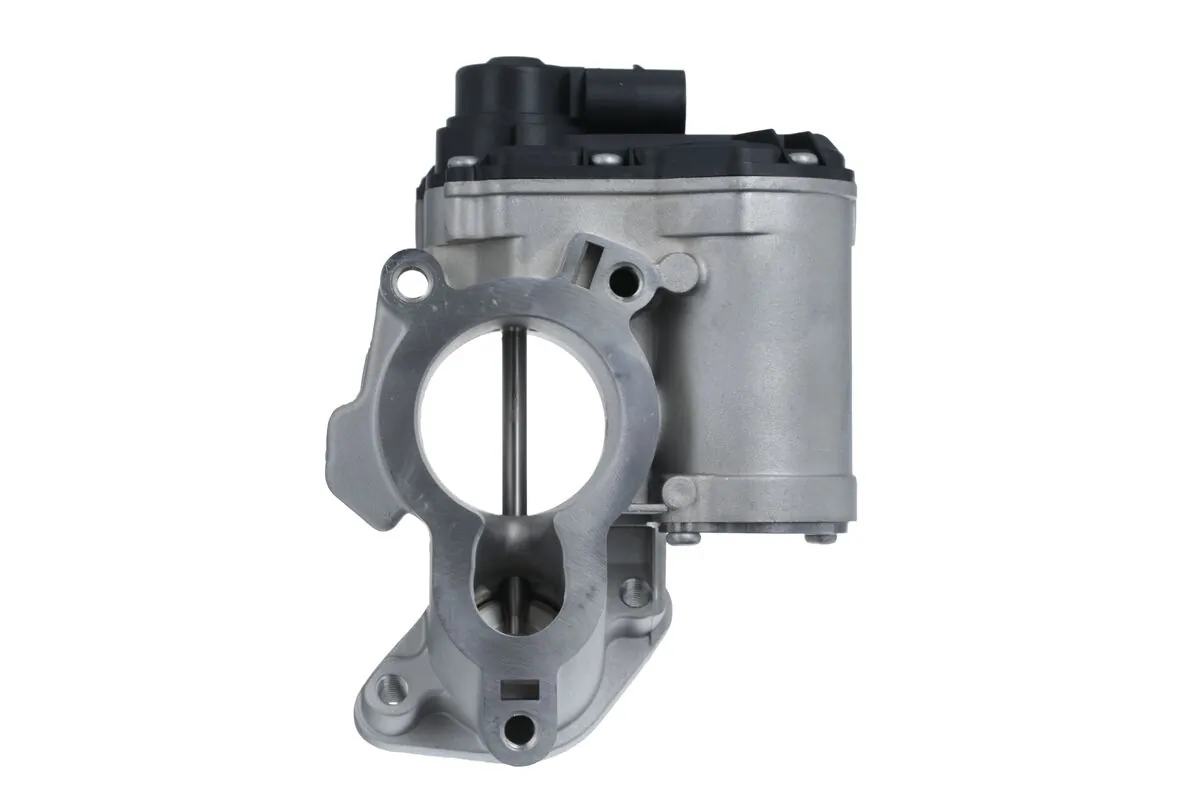 EGR Valve 703218