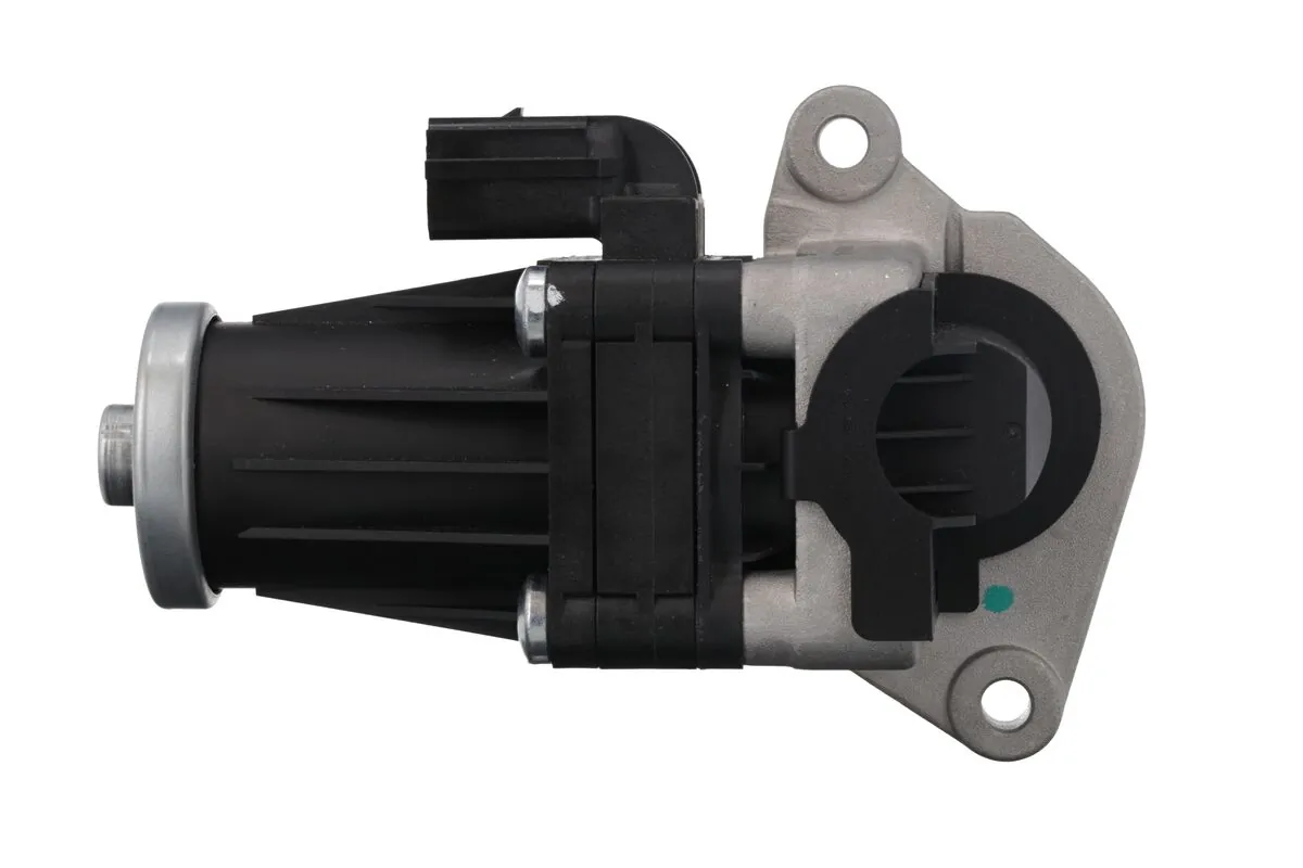 EGR Valve 703209