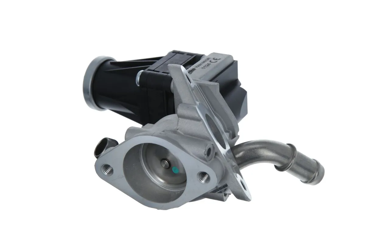 EGR Valve 703219