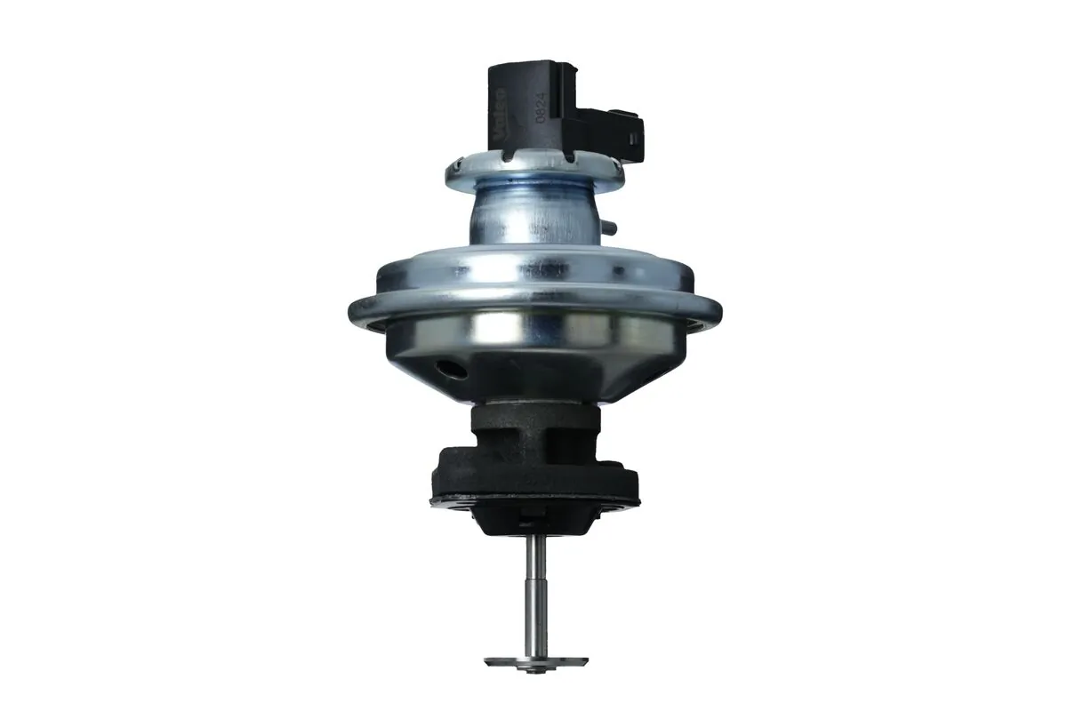 EGR Valve 703237