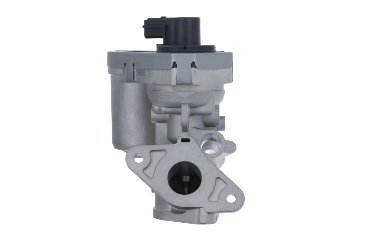 EGR Valve 703215