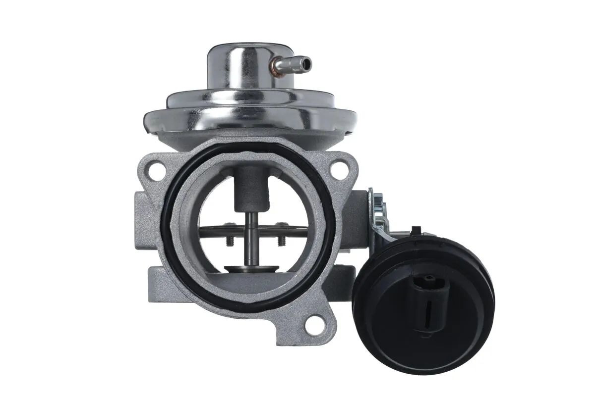 EGR Valve 703268
