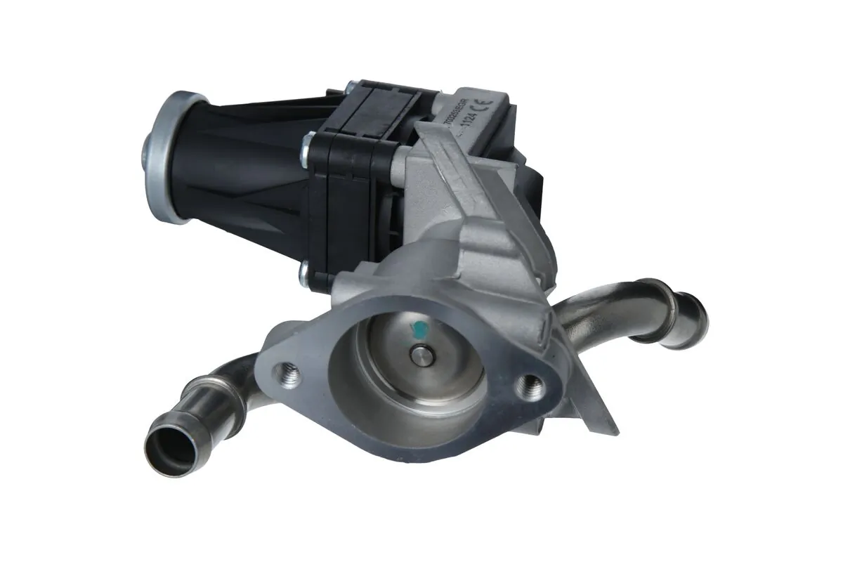 EGR Valve 703253