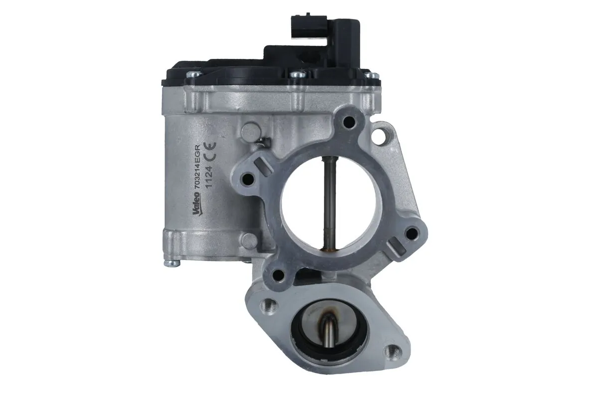 EGR Valve 703214
