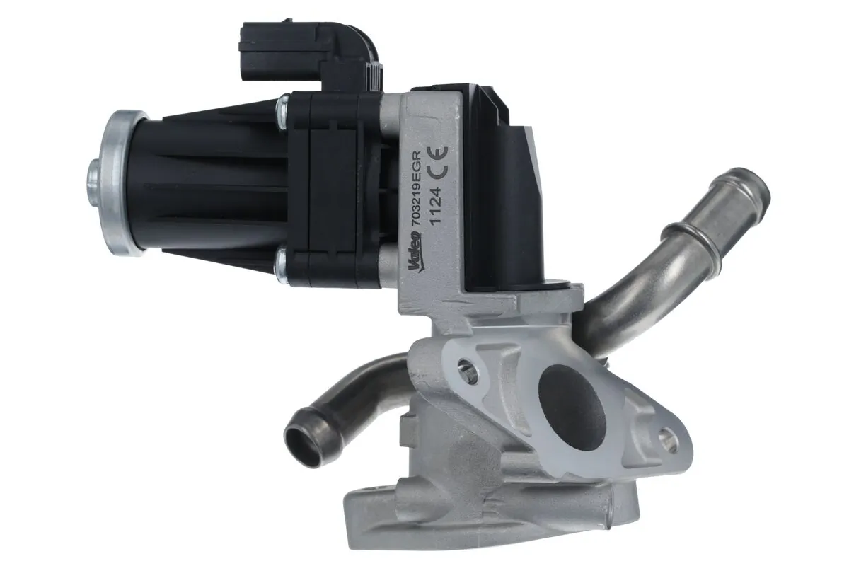 EGR Valve 703219