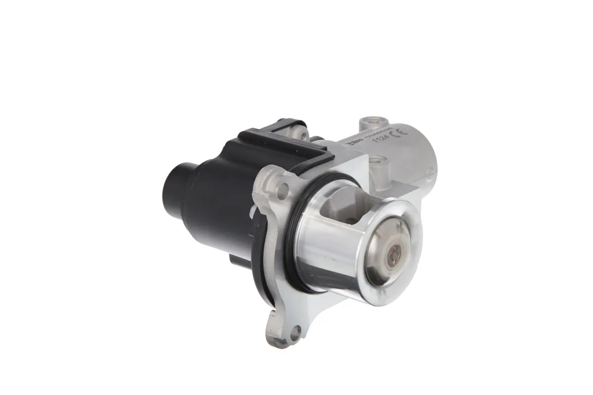 EGR Valve 703206