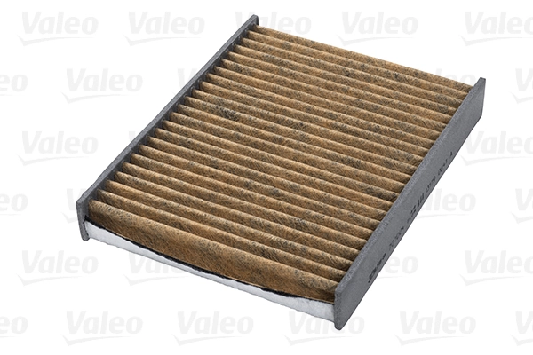 Filter, cabin air VALEO PROTECT MAX 701004