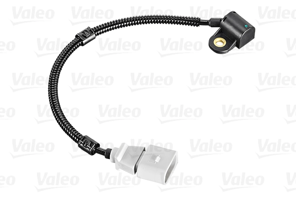 Sensor, camshaft position 253821