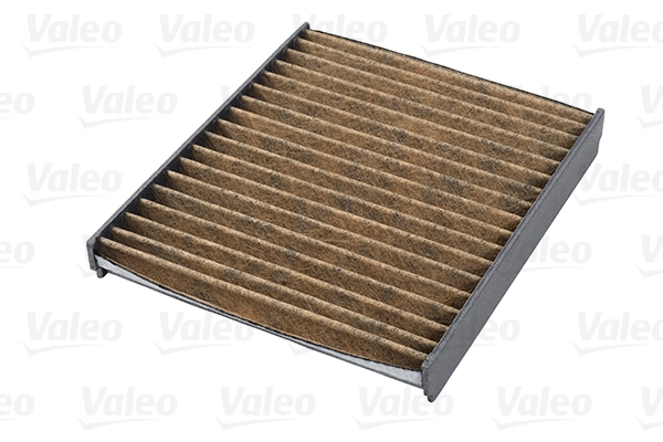 Filter, cabin air VALEO PROTECT MAX 701009