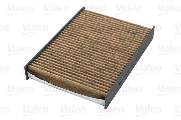 Filter, cabin air VALEO PROTECT MAX 701012