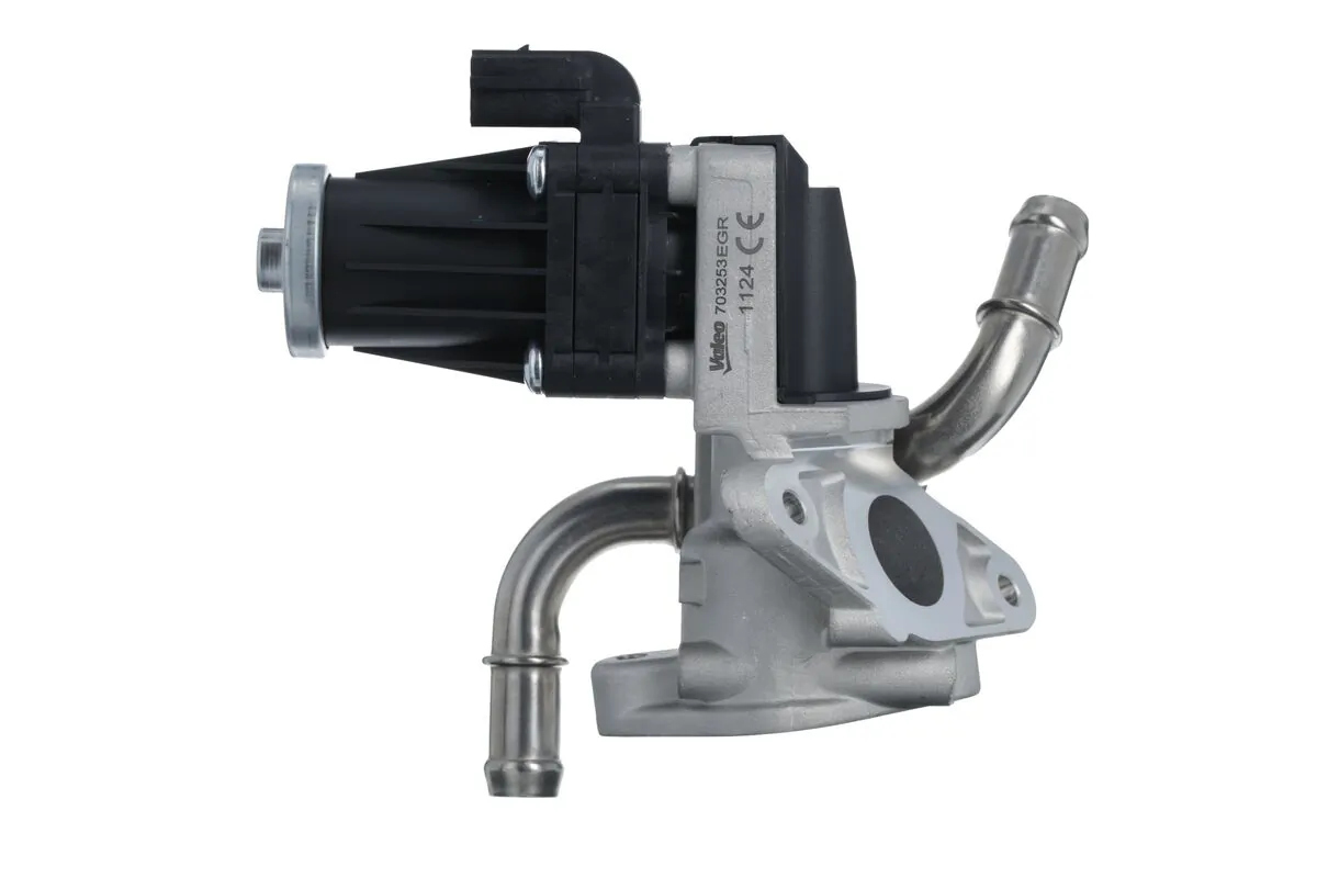 EGR Valve 703253