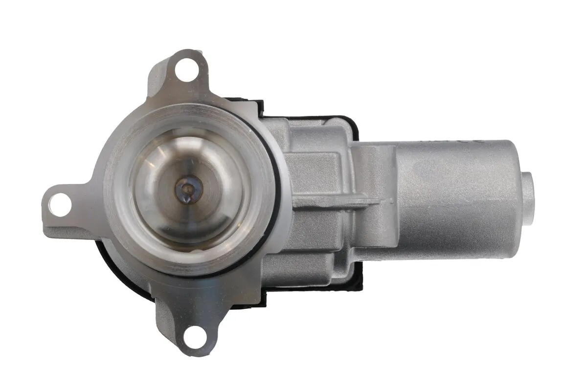 EGR Valve 703276