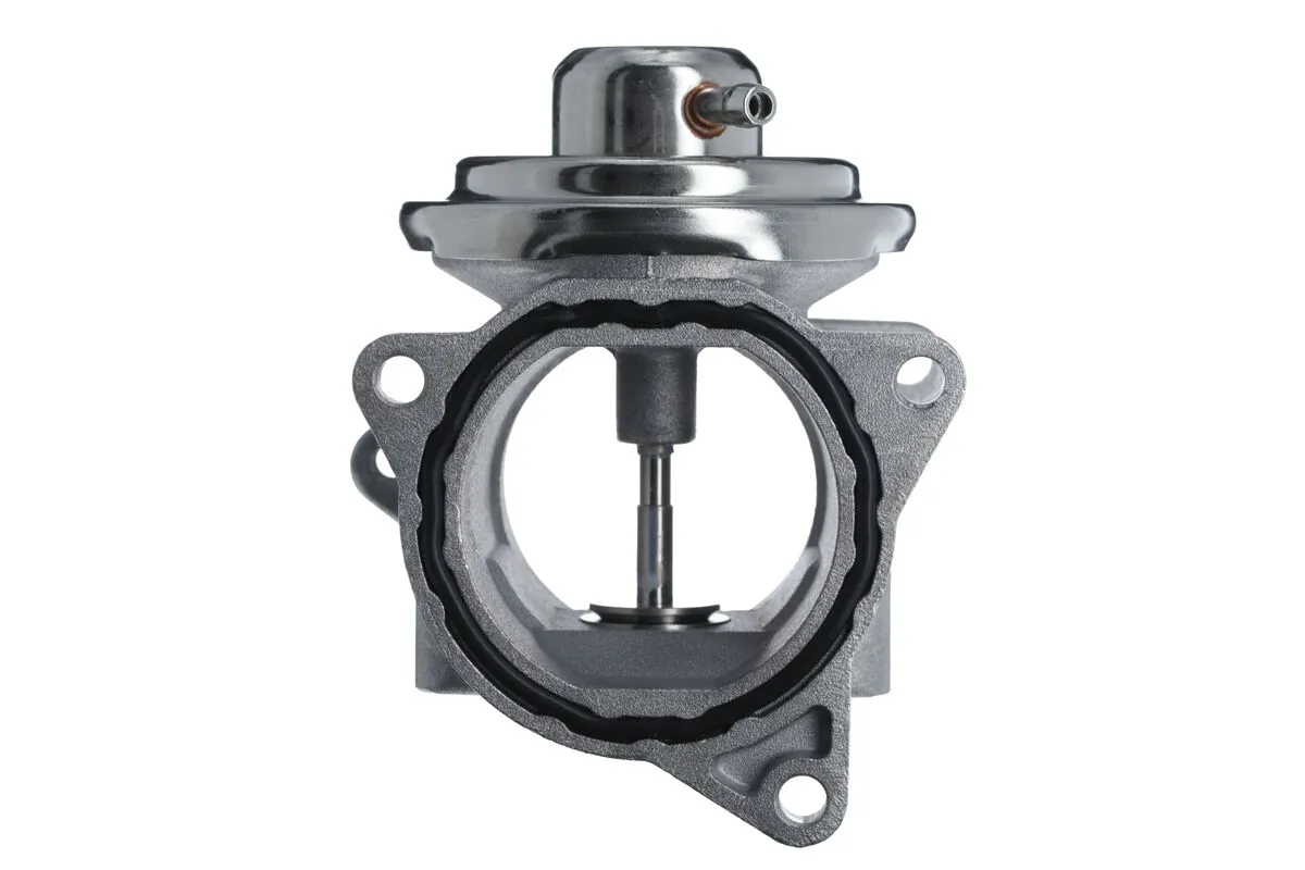 EGR Valve 703200