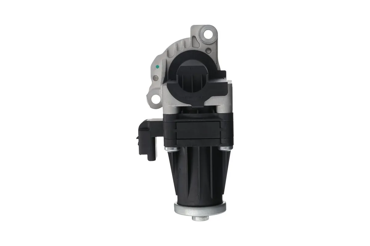 EGR Valve 703201