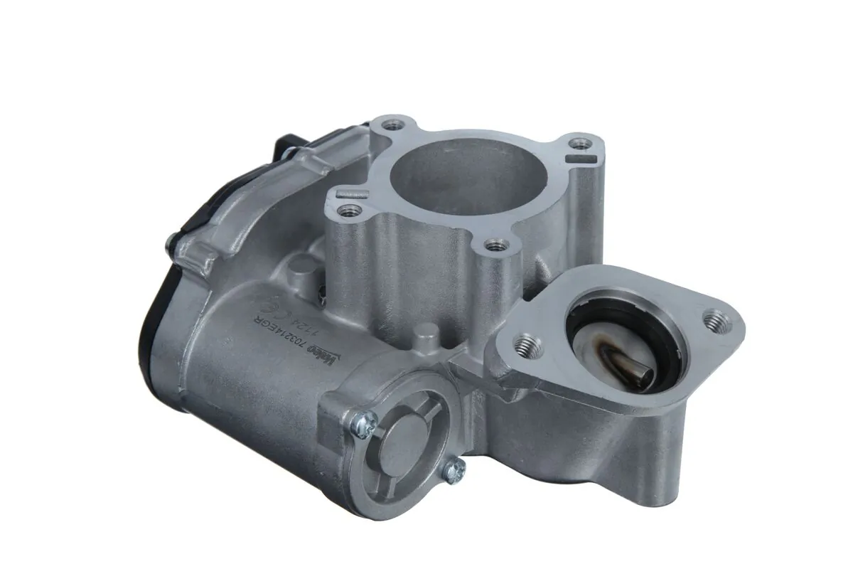 EGR Valve 703214