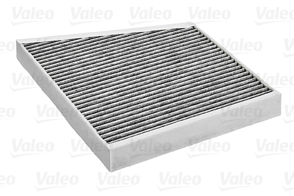 Penapis, Udara Ruang Dalaman VALEO PROTECT 698741