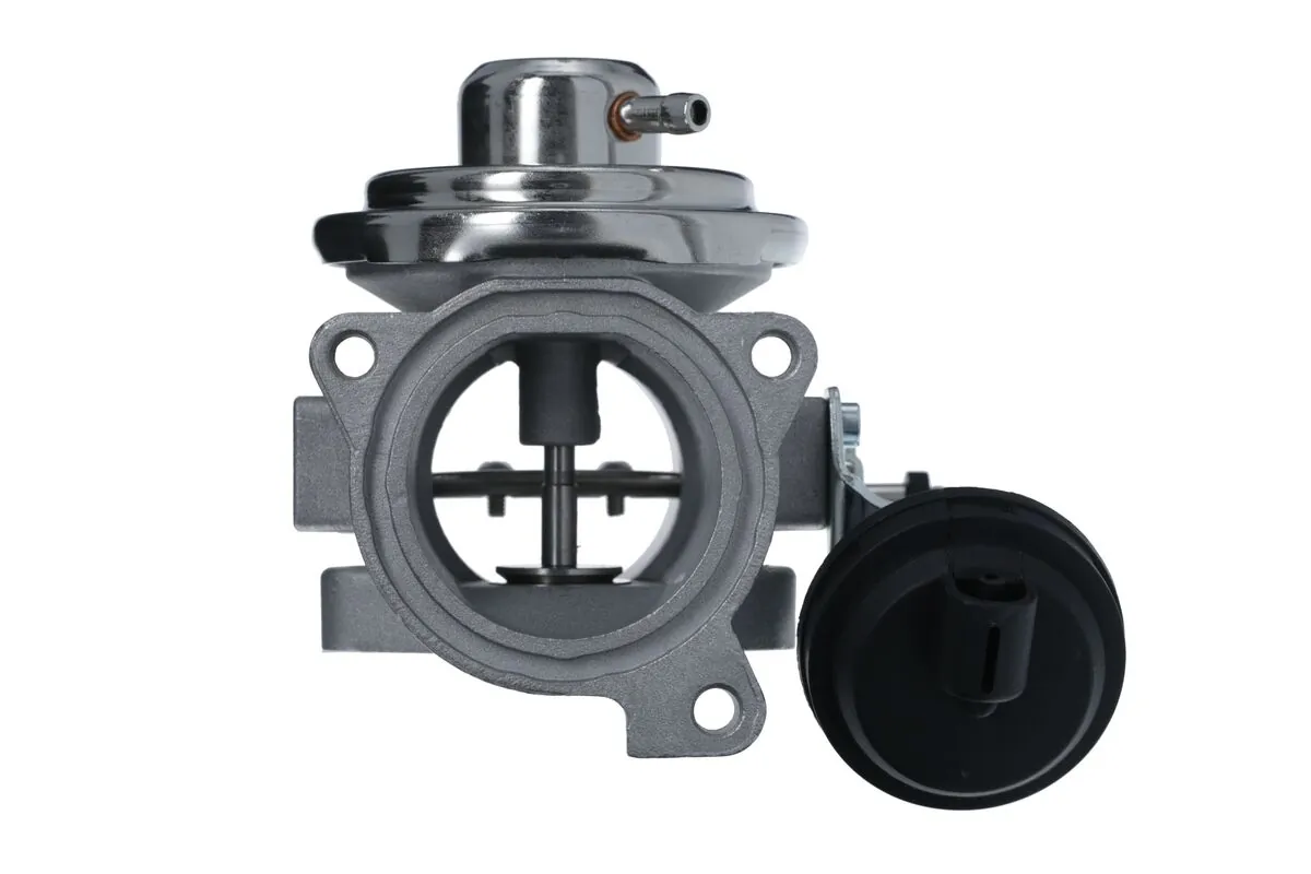EGR Valve 703220
