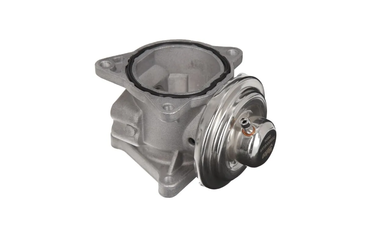EGR Valve 703200