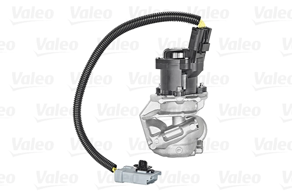 EGR Valve ORIGINAL PART 700409