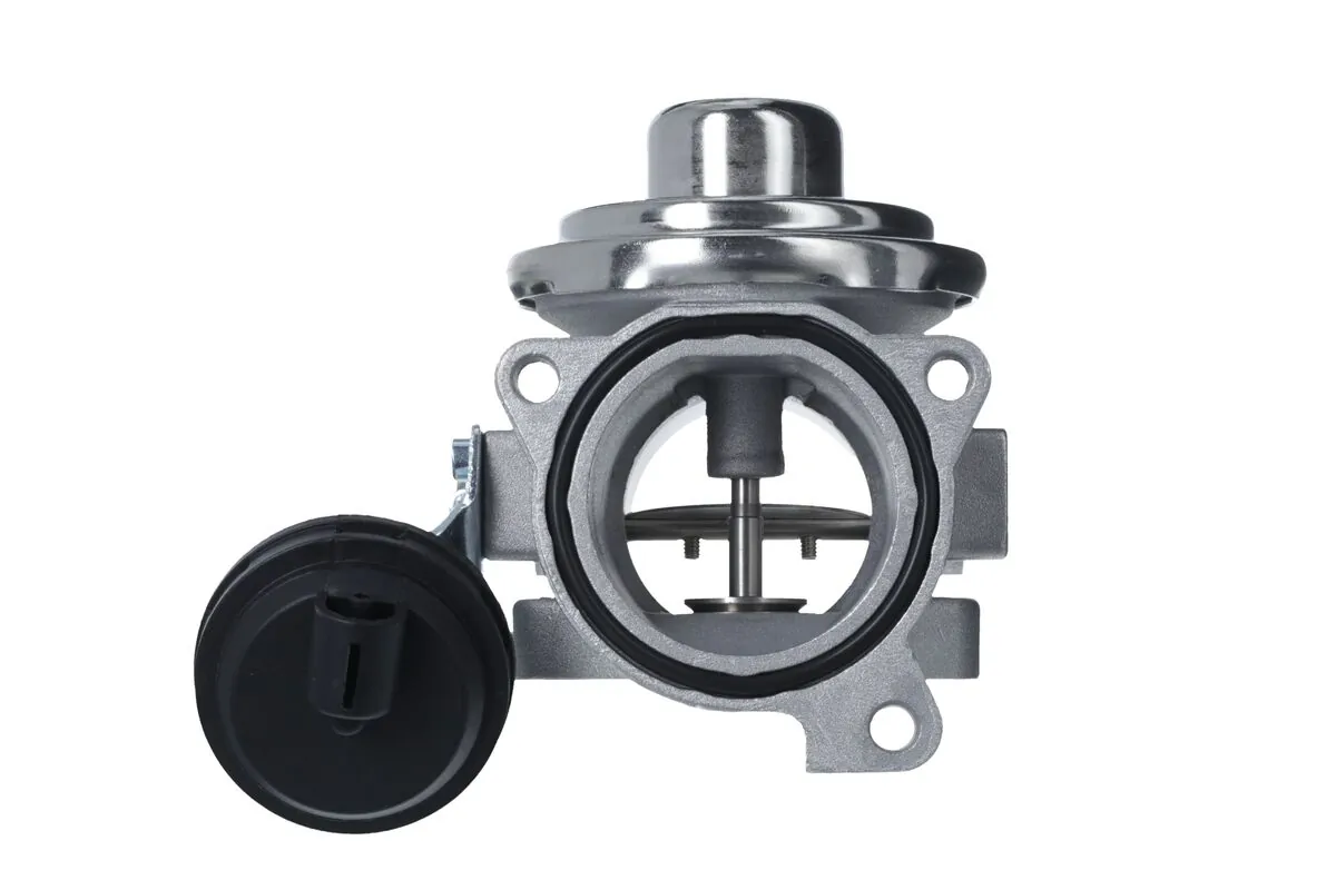 EGR Valve 703278