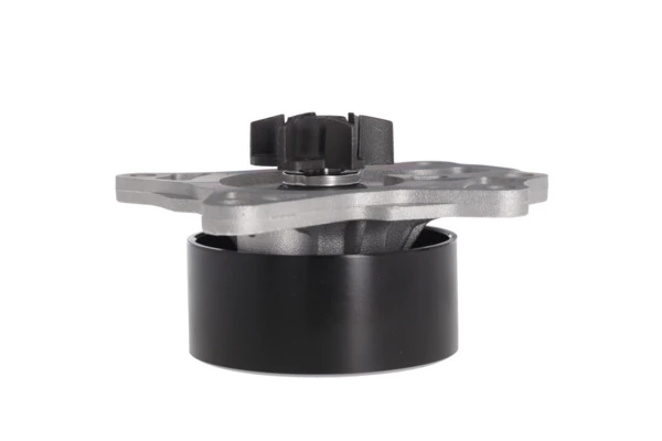 Water Pump, engine cooling 529521