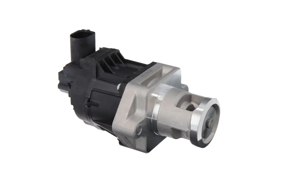 EGR Valve 703217