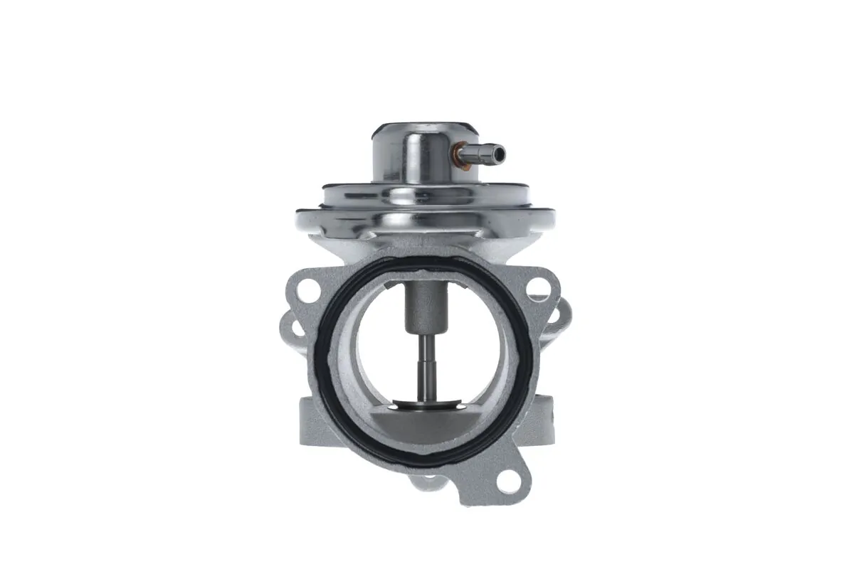 EGR Valve 703260