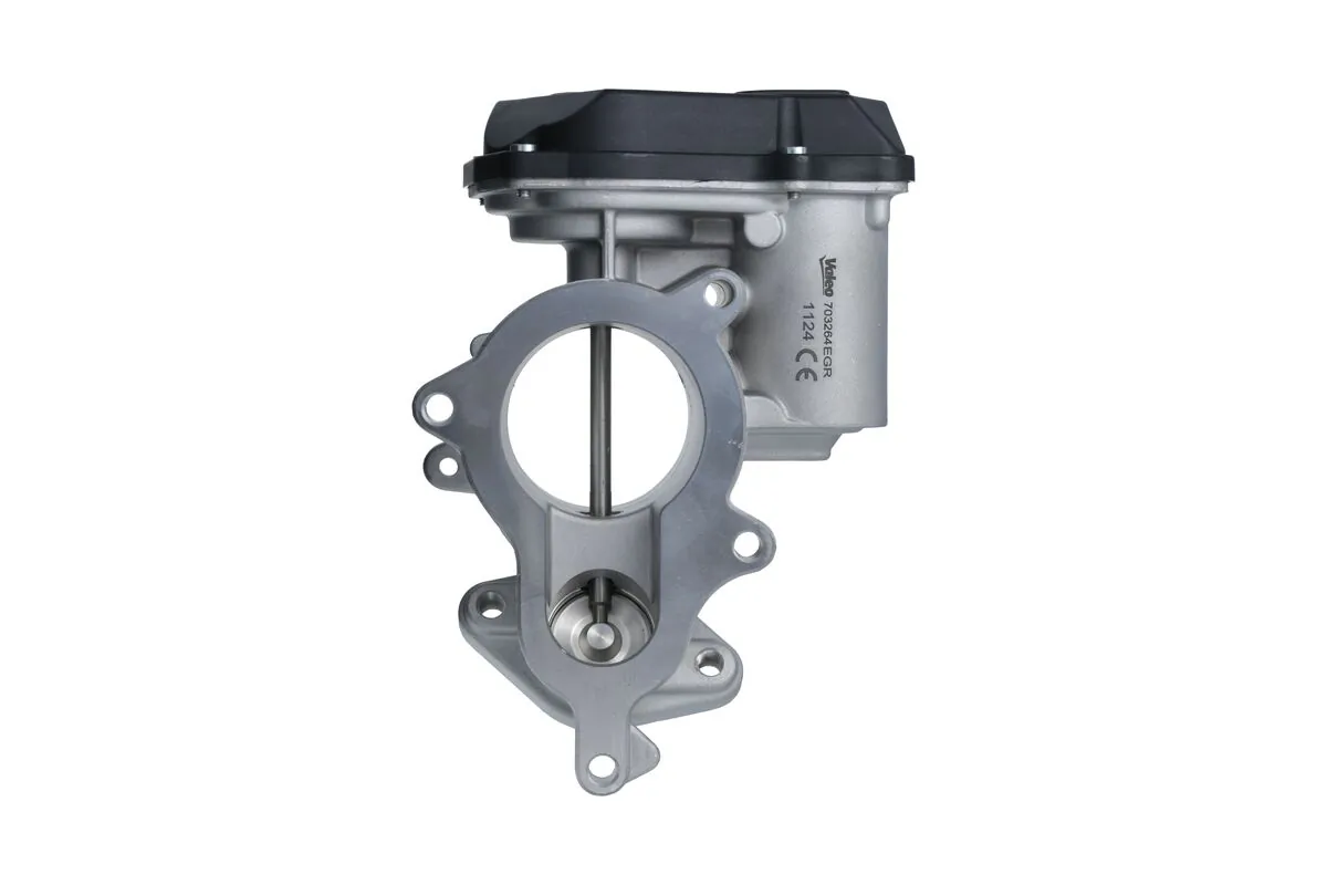 EGR Valve 703264