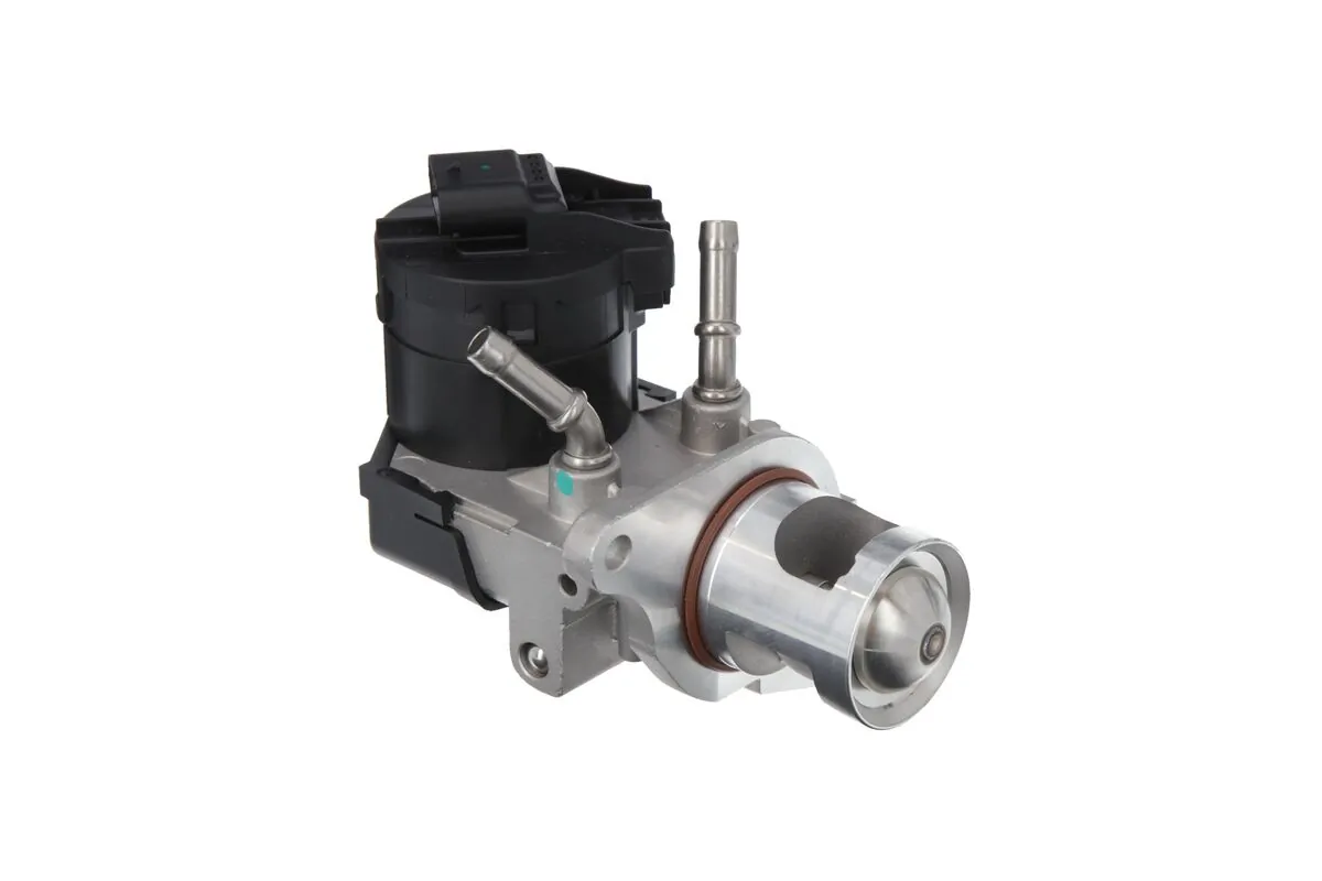 EGR Valve 703203