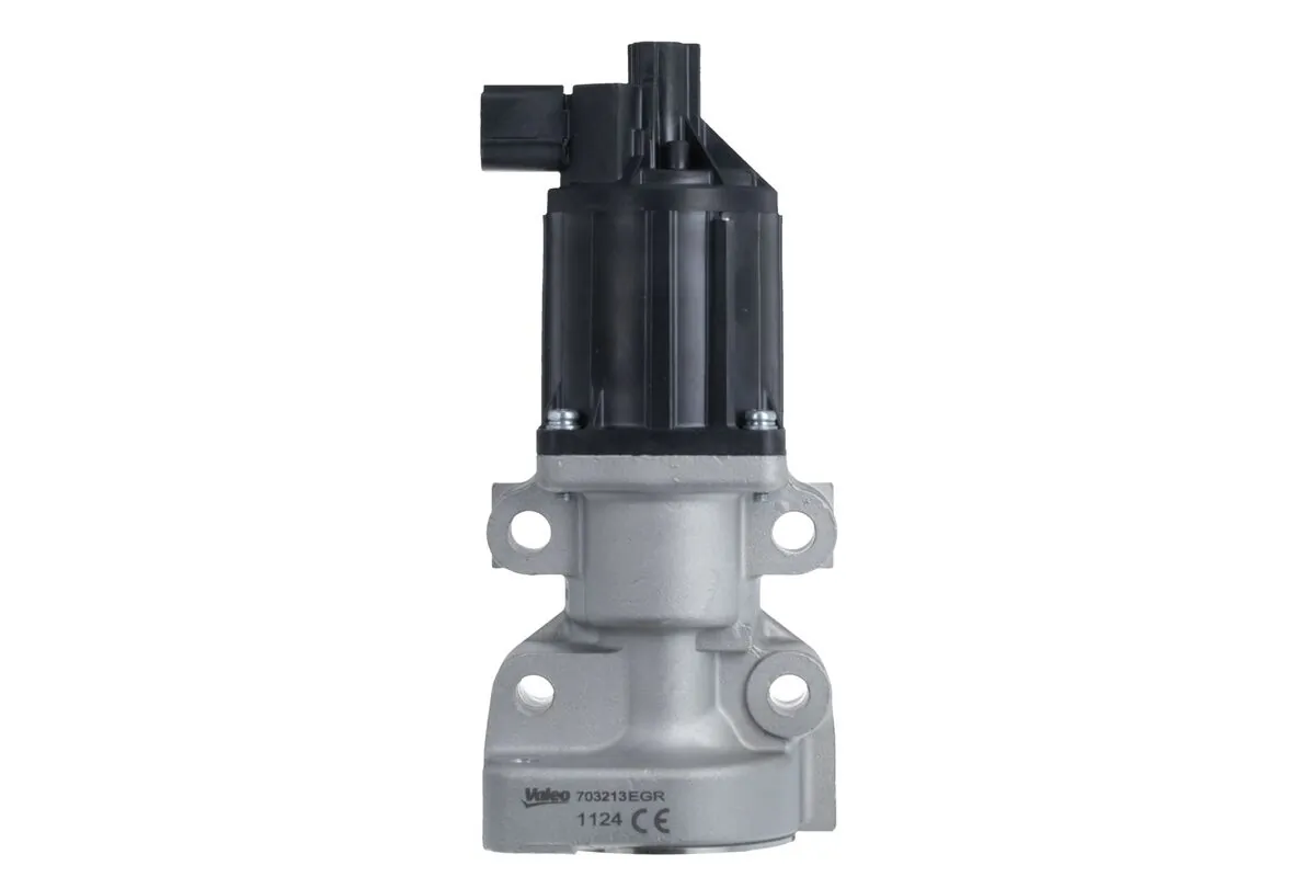 EGR Valve 703213