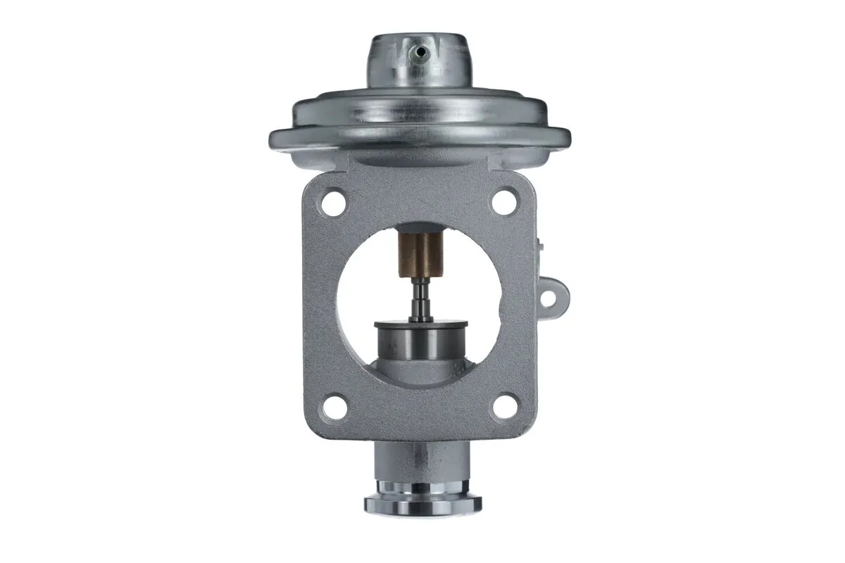 EGR Valve 703233
