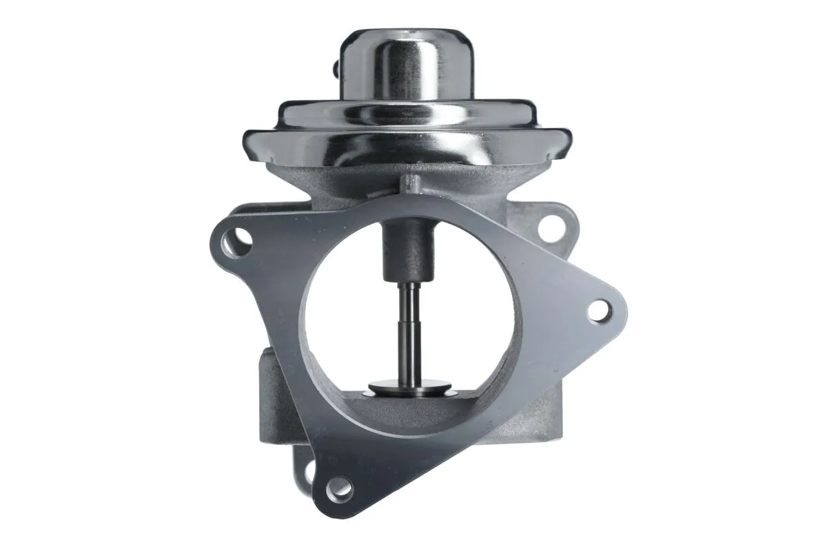 EGR Valve 703200