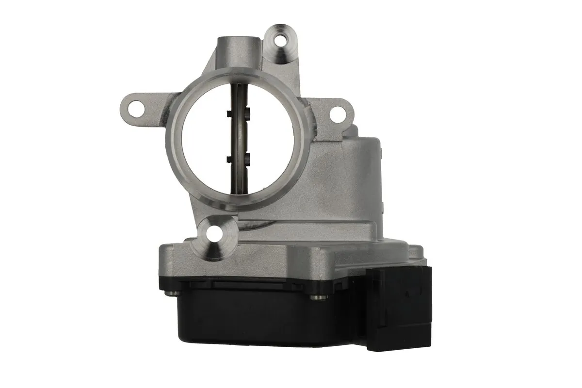 Throttle Body ORIGINAL PART 700432