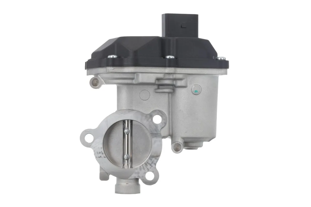 EGR Valve 703202