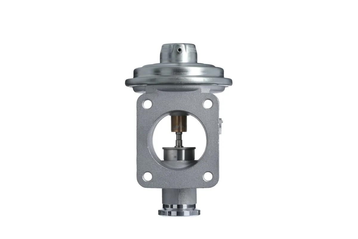 EGR Valve 703269