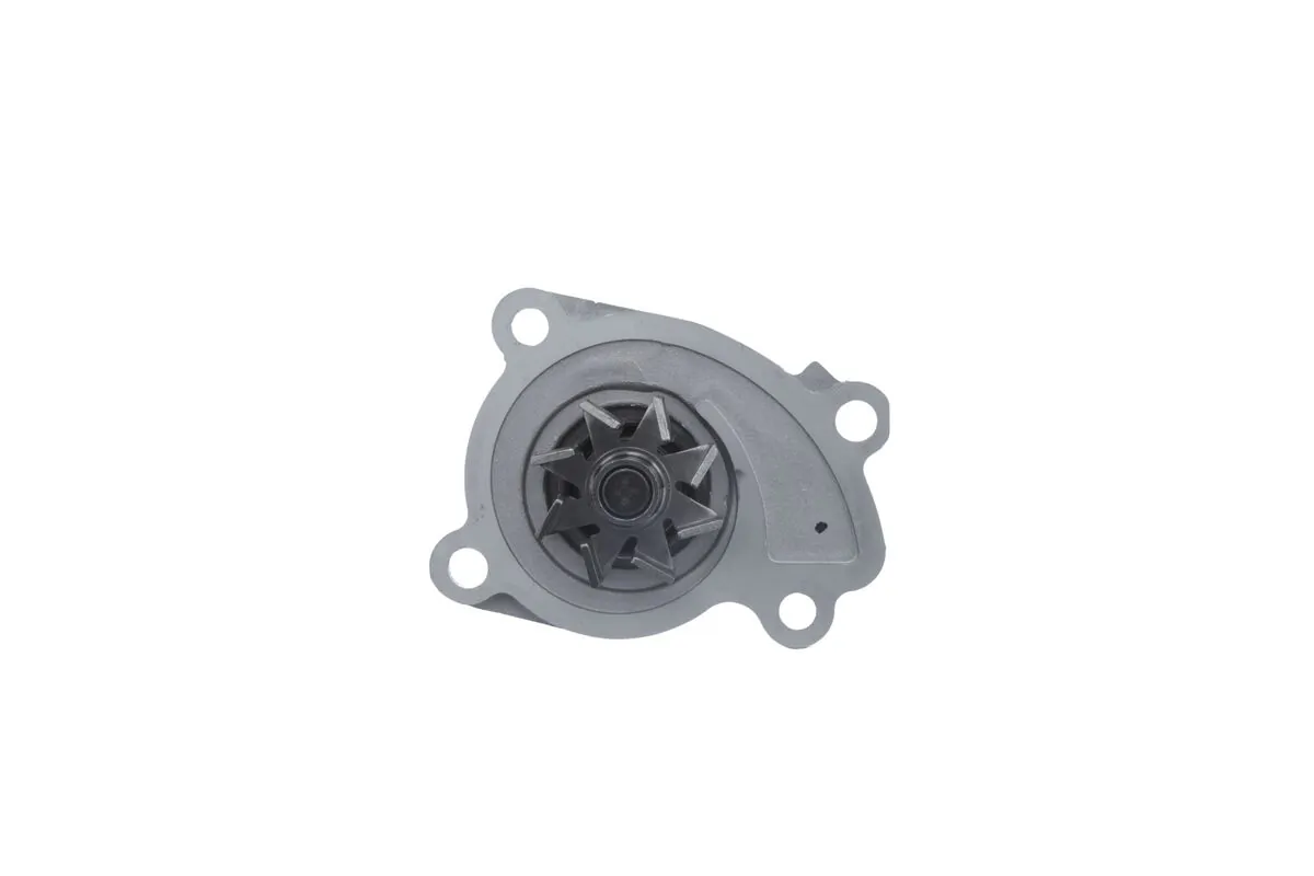 VALEO 529202 Water Pump, engine cooling