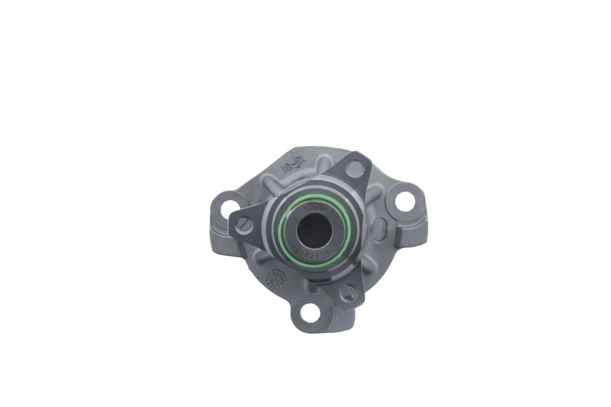 Water Pump, engine cooling 529200