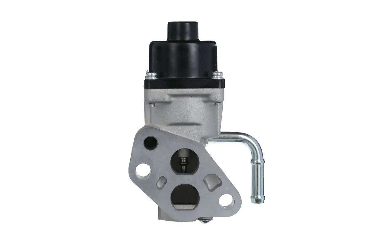 EGR Valve 703228
