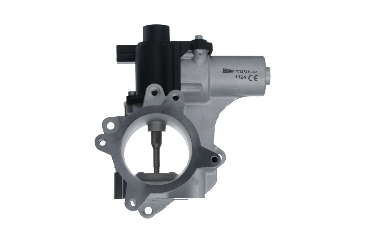 EGR Valve 703272