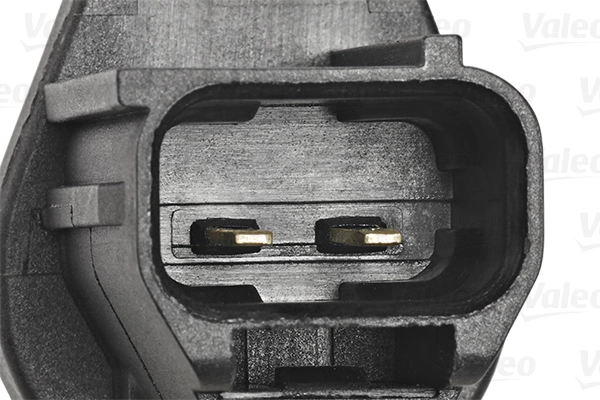 Sensor, camshaft position 253861