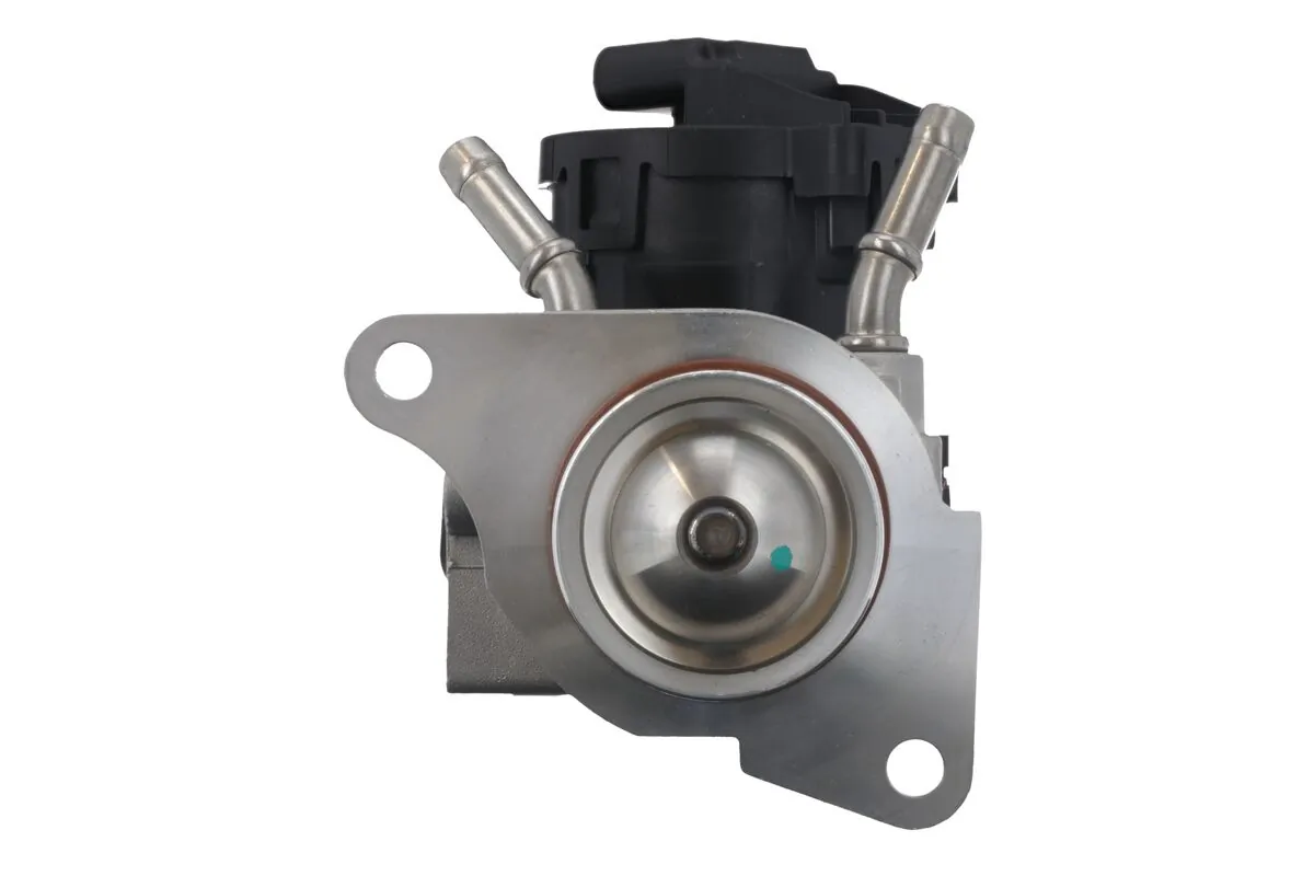 EGR Valve 703203